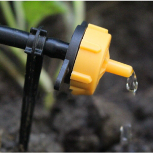 Drip Irrigation