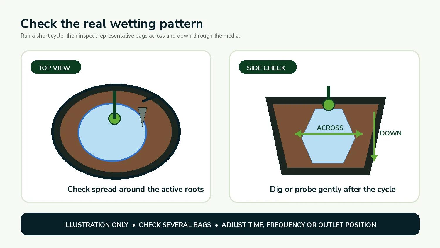 Illustration showing how to inspect substrate wetting across and down after a short irrigation cycle