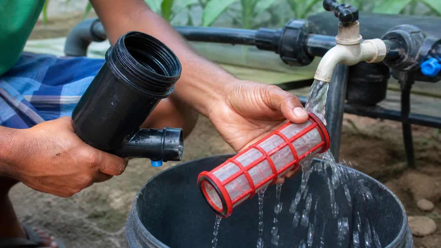 Rinsing the removable screen element from a greenhouse drip irrigation filter